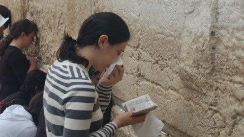 娱乐吃瓜君被骂,网络素养何在？